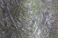 Ledston Luck fibreglass roof work